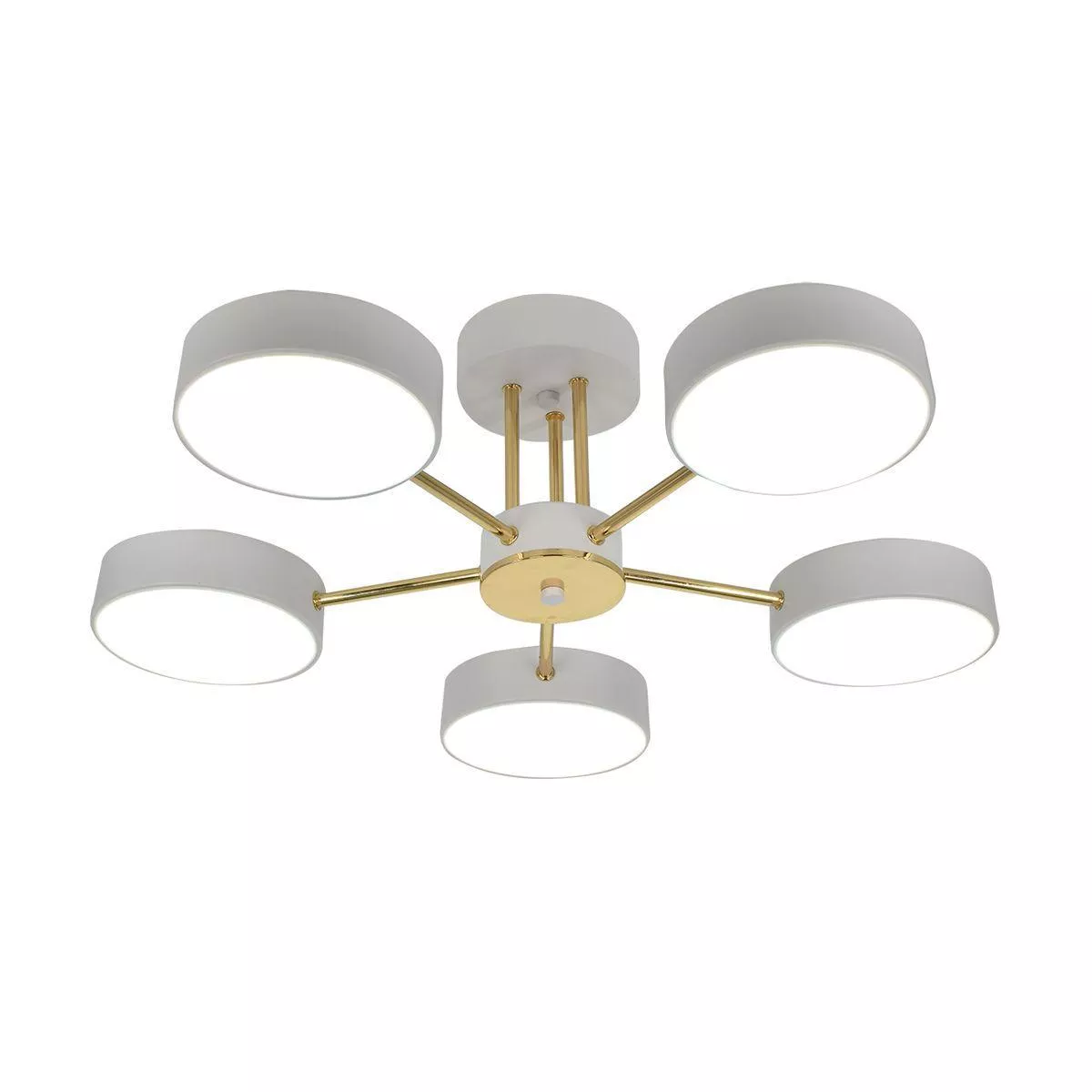 

Потолочная светодиодная люстра Escada Rune 10262/5LED