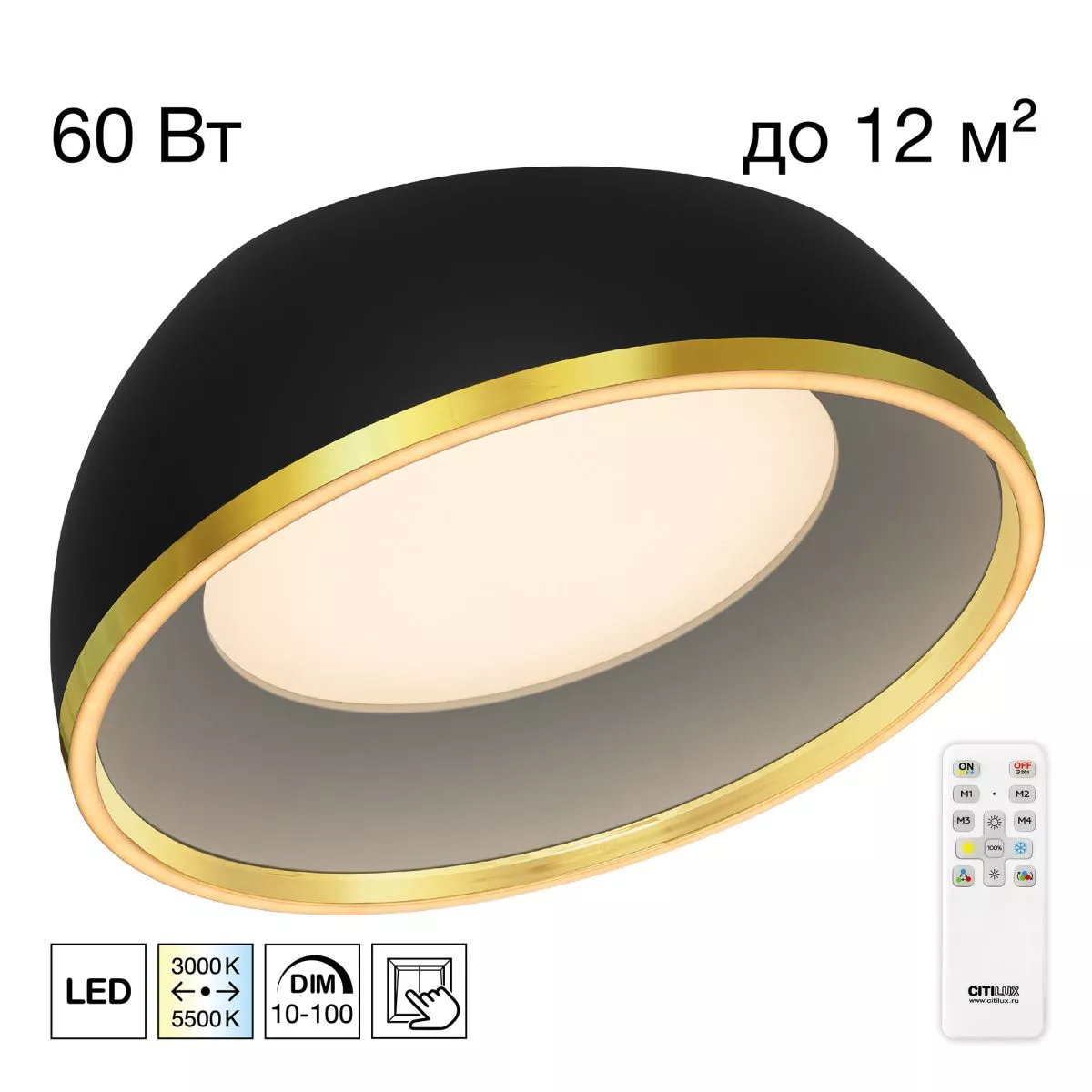 

Потолочный светильник Citilux Floom CL736151
