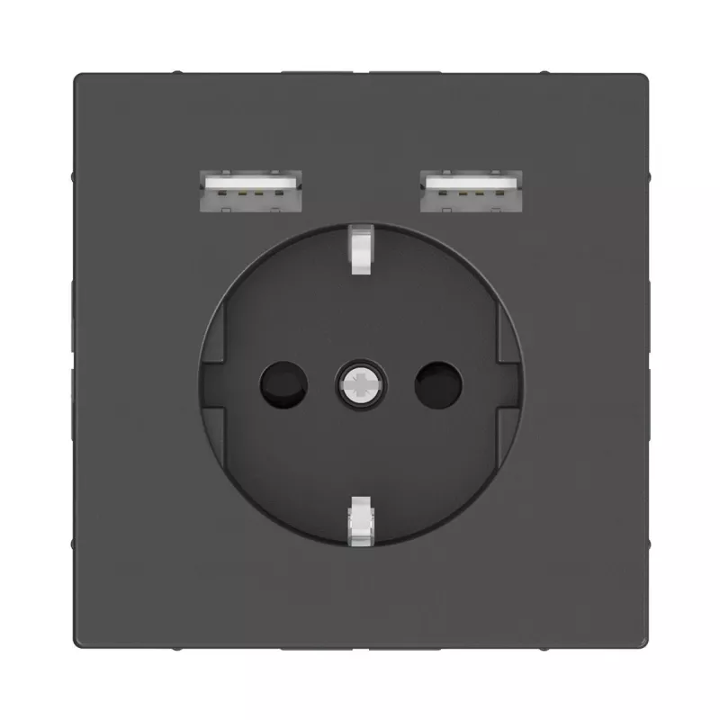 

Розетка компьютерная USBx2 Schneider Electric Merten D-Life MTN2366-6034