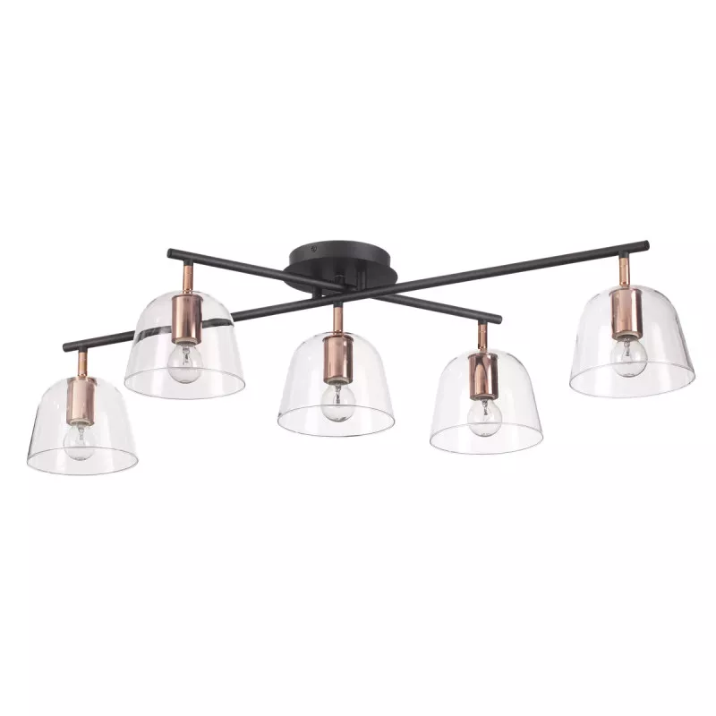 

Накладная люстра LUMION 4455/5C