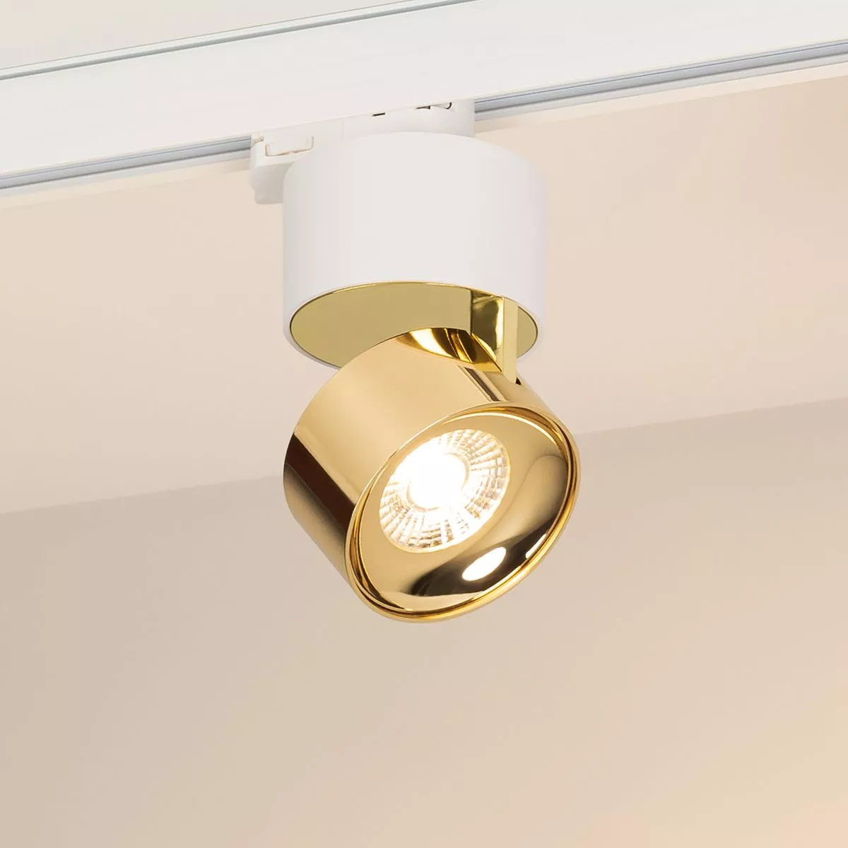 

Трековый трехфазный светильник Arlight SP-PLURIO-TRACK-4TR-R77-9W Warm3000 (WH-BRS, 36 deg, 230V) (IP20 Металл) 038114