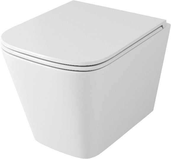 

Унитаз подвесной Owl 1975 Vatter TOWLT190403S