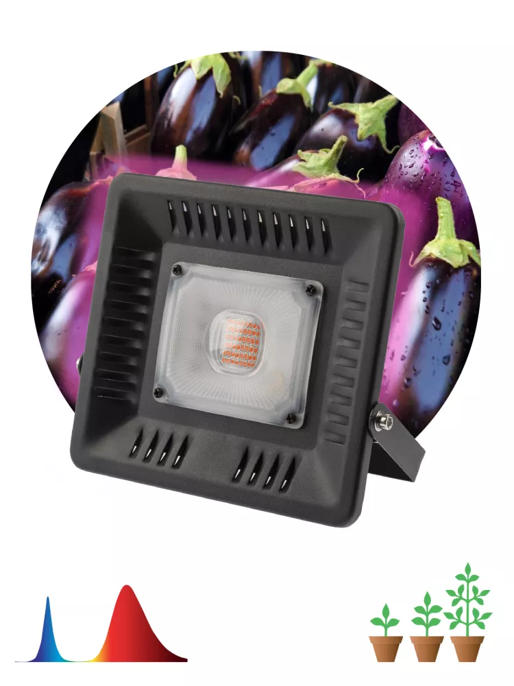 

Фитопрожектор для растений Эра FITO-50W-LED-BLUERED Б0039033