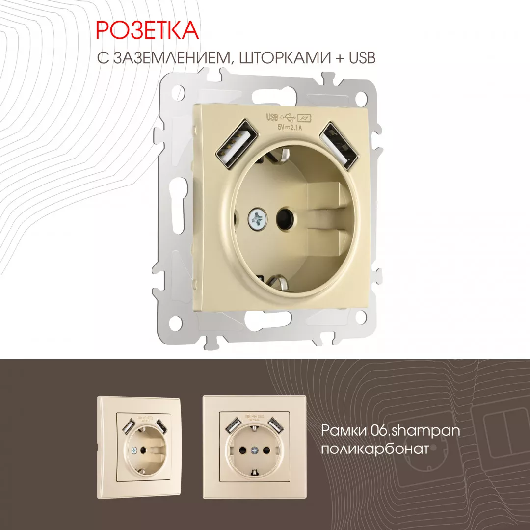 

Розетка с заземлением, шторками + 2 USB Arte Milano 206.47-1.shampan