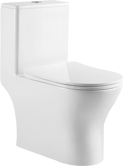 

Унитаз-моноблок напольный BelBagno Lounge BB8618CPR-MN/SC