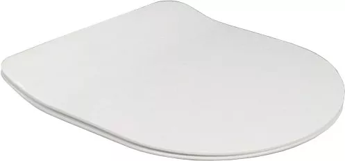 Крышка-сиденье BelBagno Tanto BB2034SC с микролифтом, цвет белый - фото 1