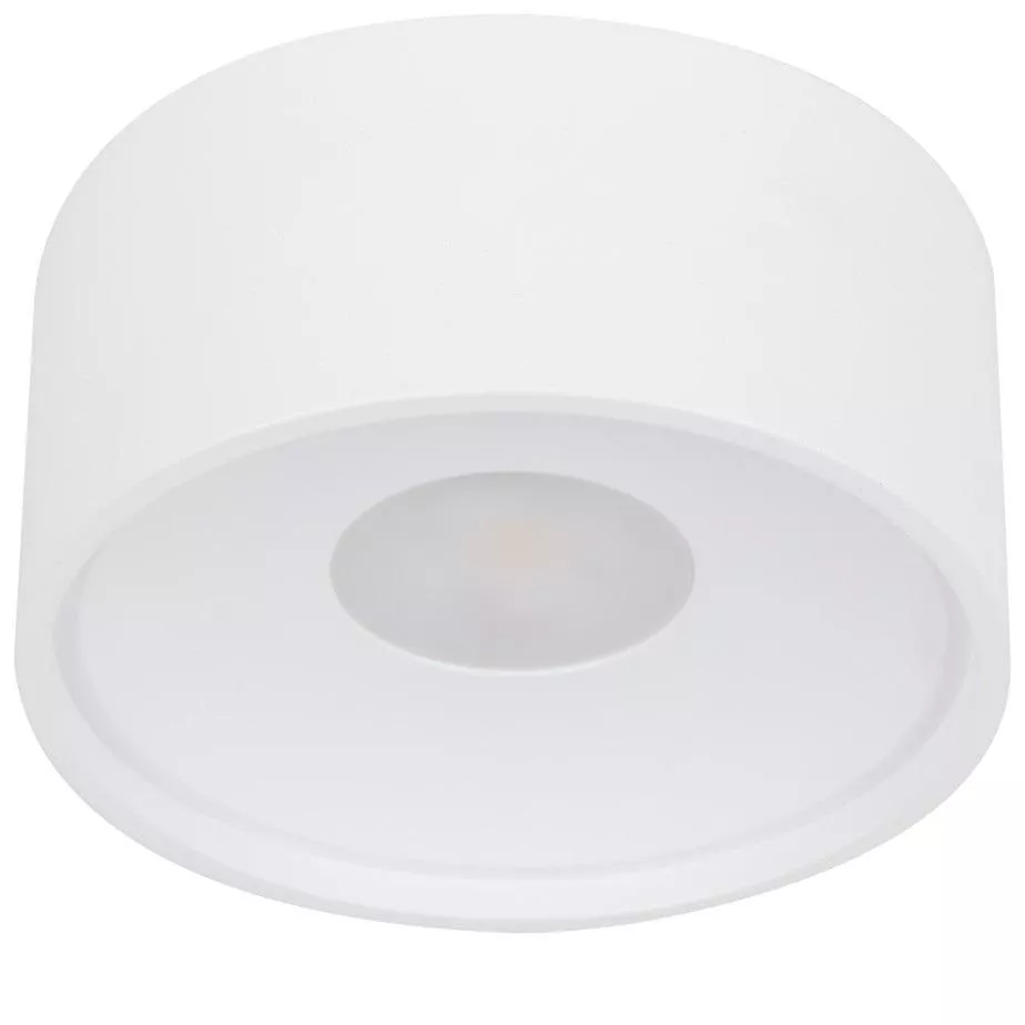 

Накладной светильник Wertmark WTA WTA.O01.007.30.07
