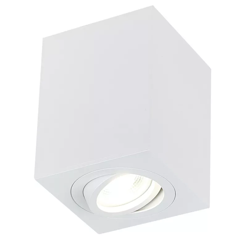 

Накладной светильник Simple Story 2038-1CLW