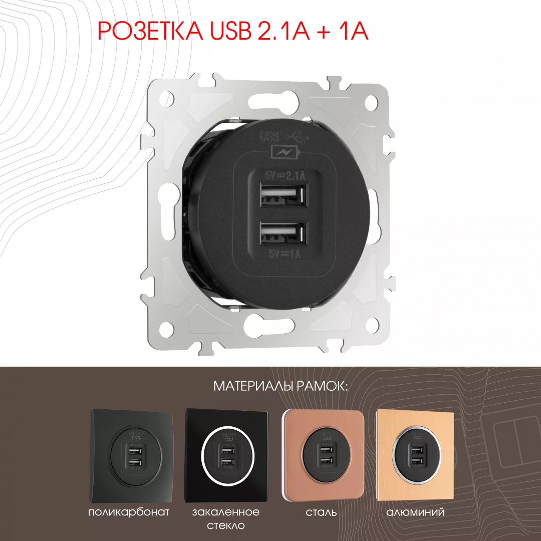 

Розетка USB 2.1А+1А Arte Milano 202.46-1.black