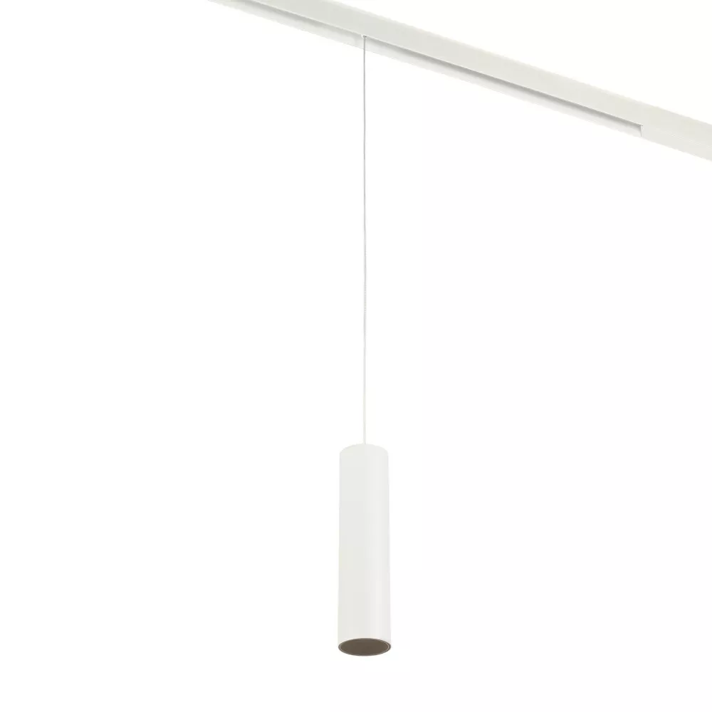 

Трековый магнитный светильник Myfar Ray MT0221-20W3K-S-W