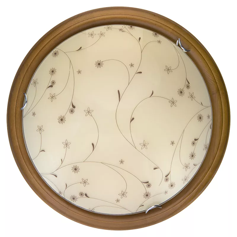 

Настенно-потолочный светодиодный светильник Toplight Karissa TL9650Y-00OA