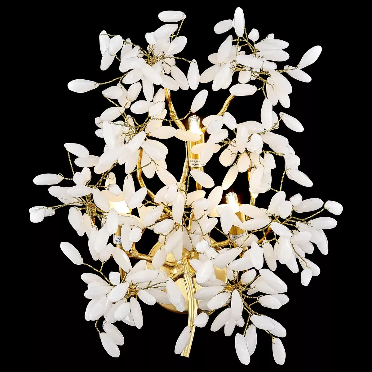 

Настенный светильник Wertmark Dorothy WE193.03.401