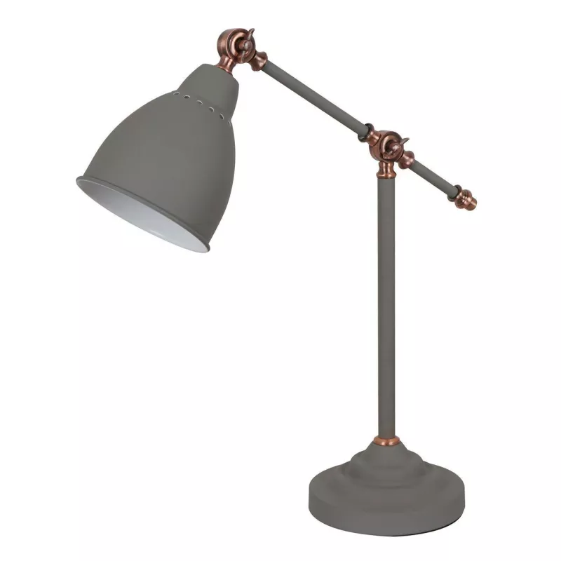 

Настольная лампа Arte Lamp Braccio A2054LT-1GY