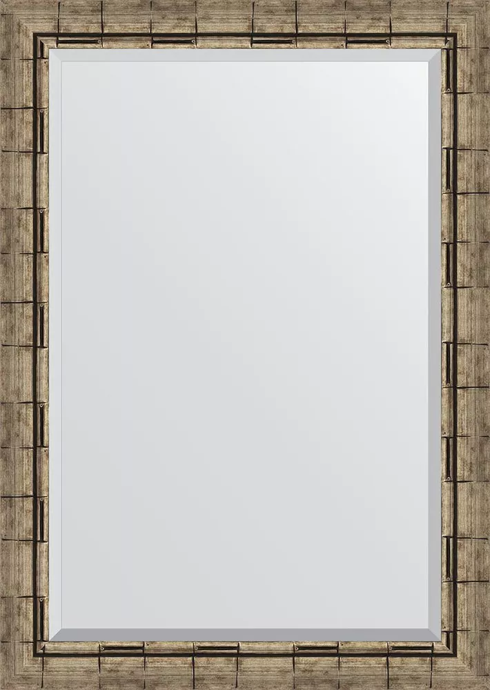 

Зеркало Evoform Exclusive BY 1196 73x103 серебряный бамбук