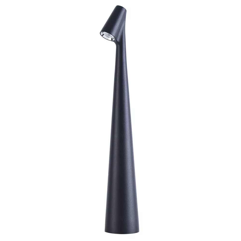 

Настольная лампа Arte Lamp Fusion A3283LT-2BK