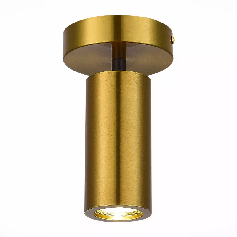 

Потолочный светильник ST Luce Talia SL1215.402.01