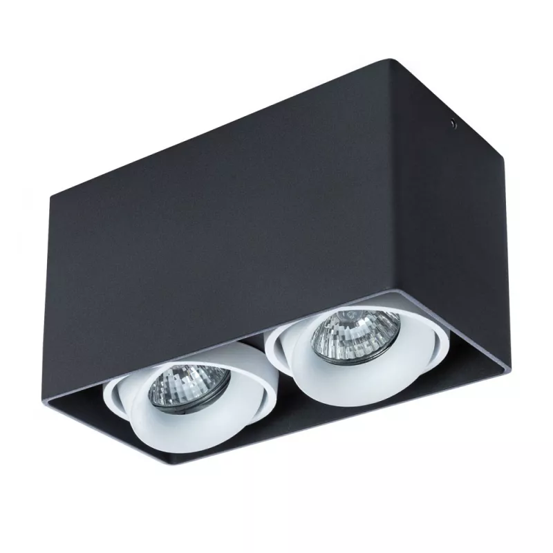 

Потолочный светильник Arte Lamp Pictor A5654PL-2BK