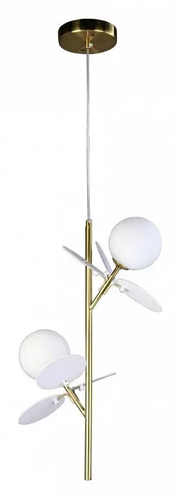 

Подвесной светильник Zortes Floret ZRS.01201.02