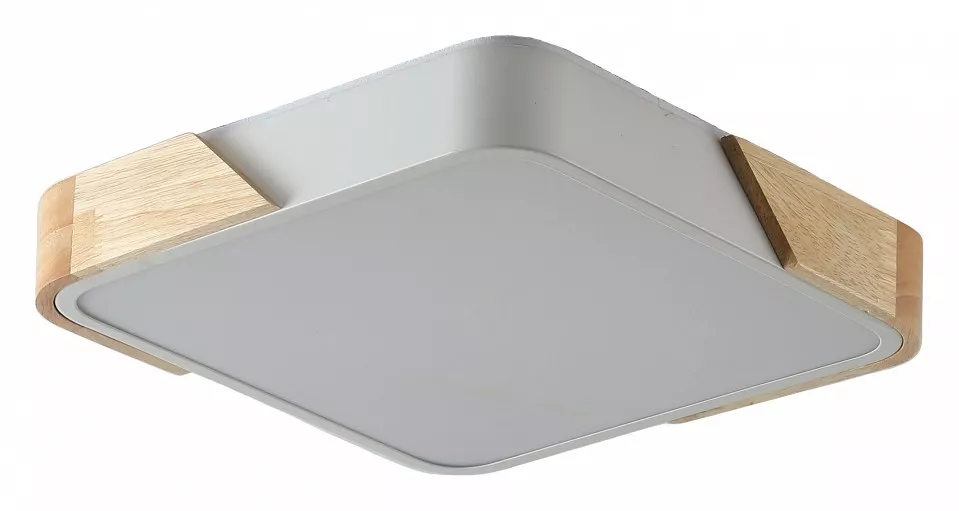 

Накладной светильник Zortes ALBERRO ZRS.01285.48