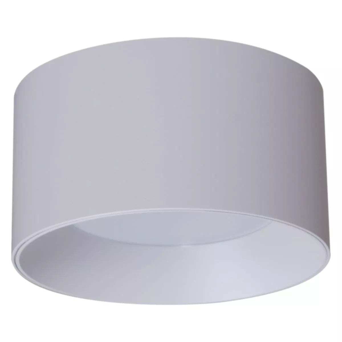 

Накладной светильник Reluce 53060-9.5-001LD GX53 WT