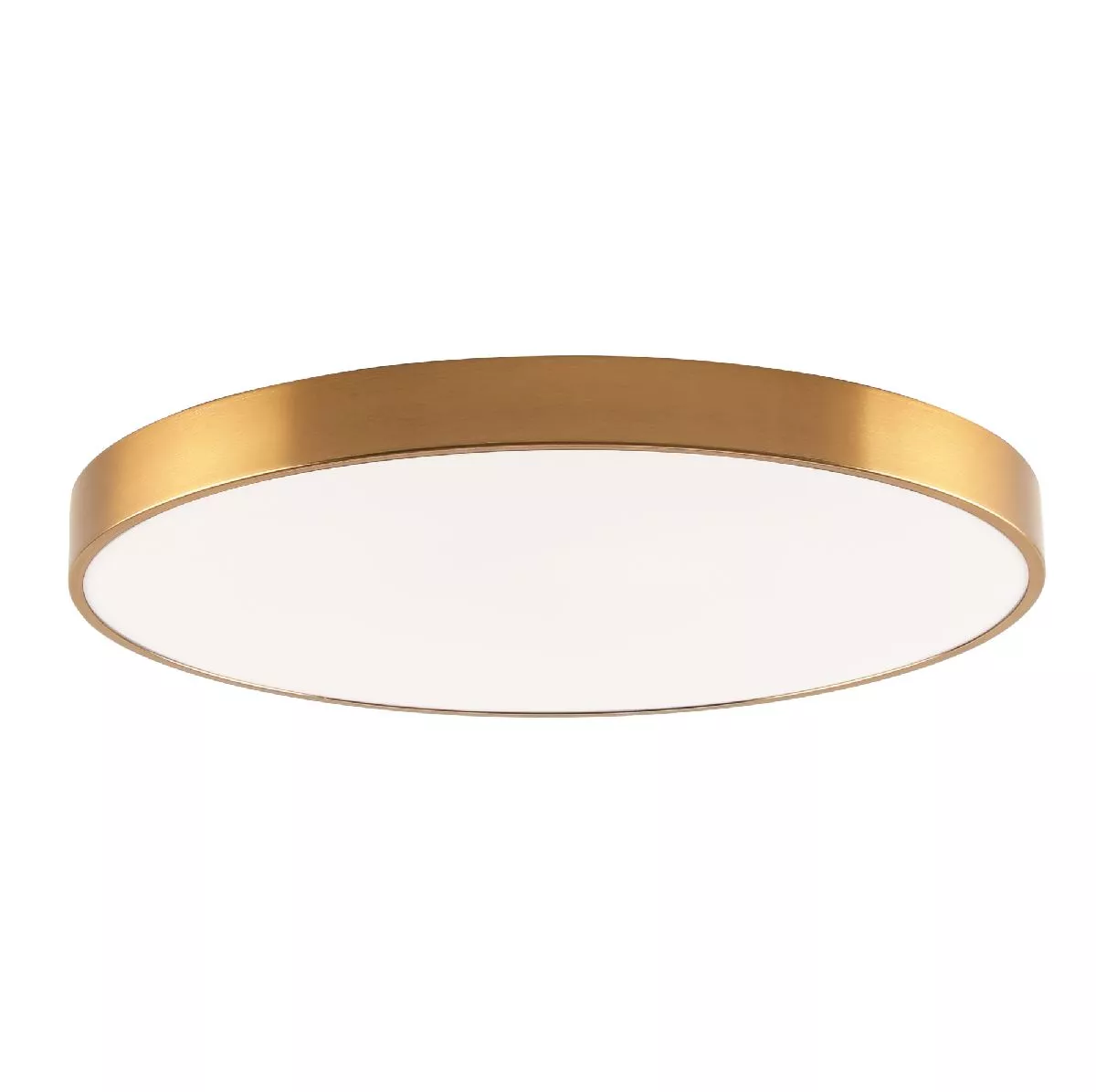 

Потолочный светильник Zortes Tortty ZRS.02566.96